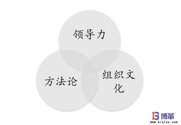 六西格瑪管理成功實(shí)施要素