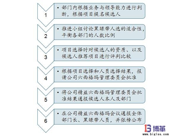 六西格瑪黑帶、綠帶人員的選擇