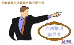 六西格瑪管理中倡導(dǎo)者的職責(zé)是什么？