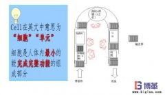 單元生產(chǎn)線如何建立?