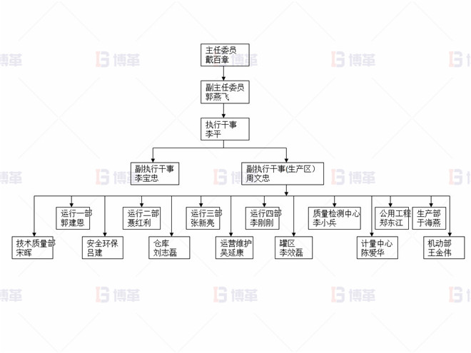 某化工廠(chǎng)生產(chǎn)區(qū)5S改善案例 5S項(xiàng)目組織架構(gòu)